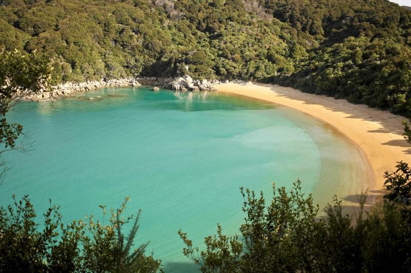 Bijzondere plekjes in NIeuw-Zeeland: Abel Tasman