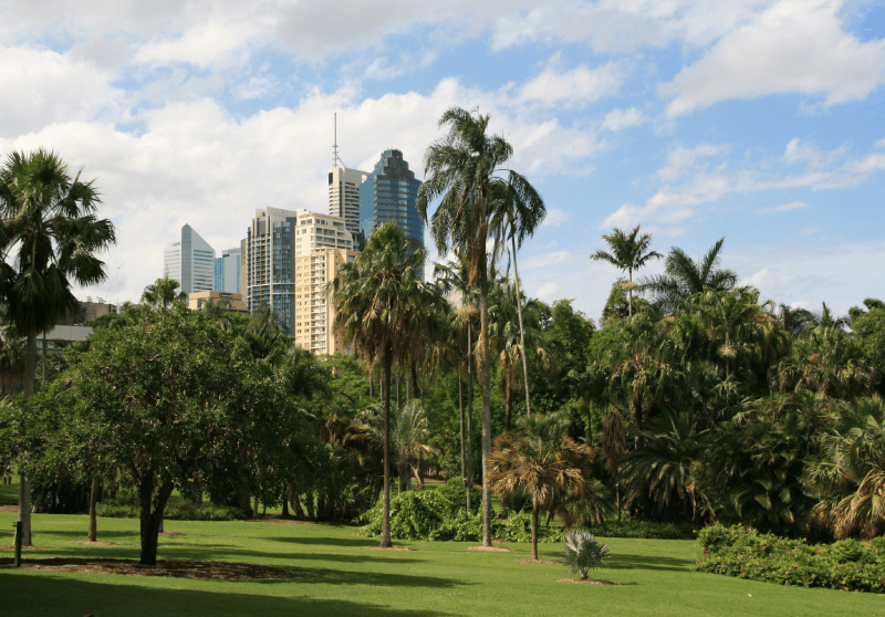 Botanische tuin Brisbane Centrum