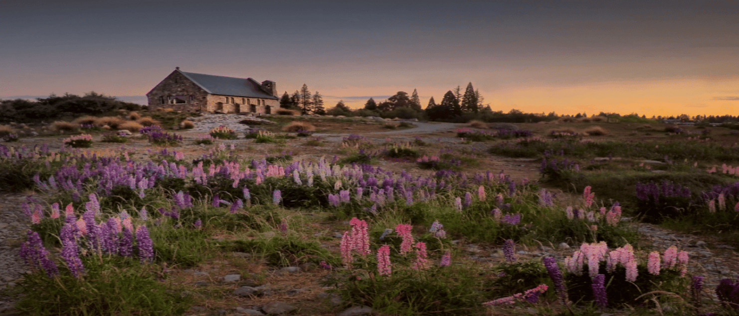 Lake Tekapo