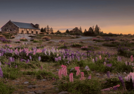 Lake Tekapo