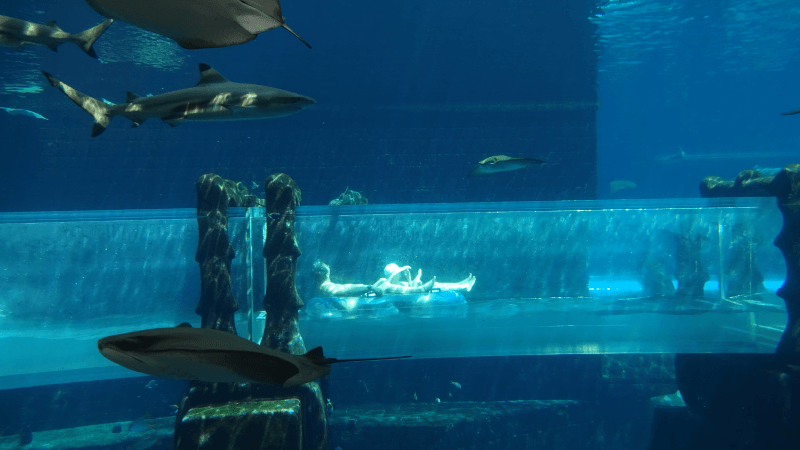 10 tips voor een stedentrip in Dubai glijbaan haaien