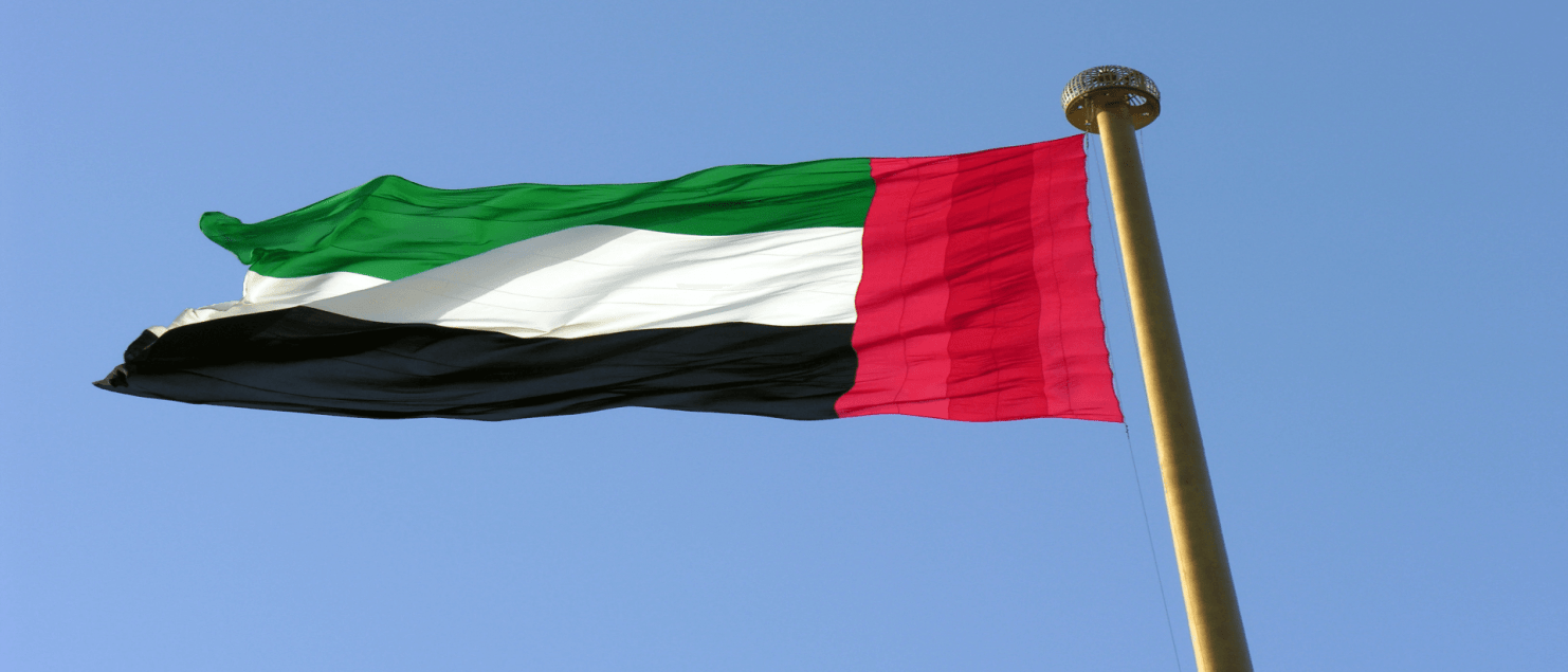 Vlag van Dubai