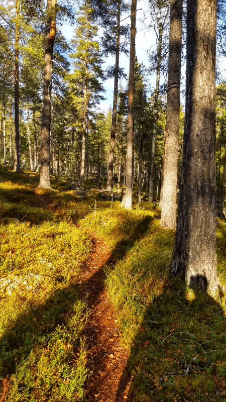 hikingtrail-bjornlandet-nationaal-park