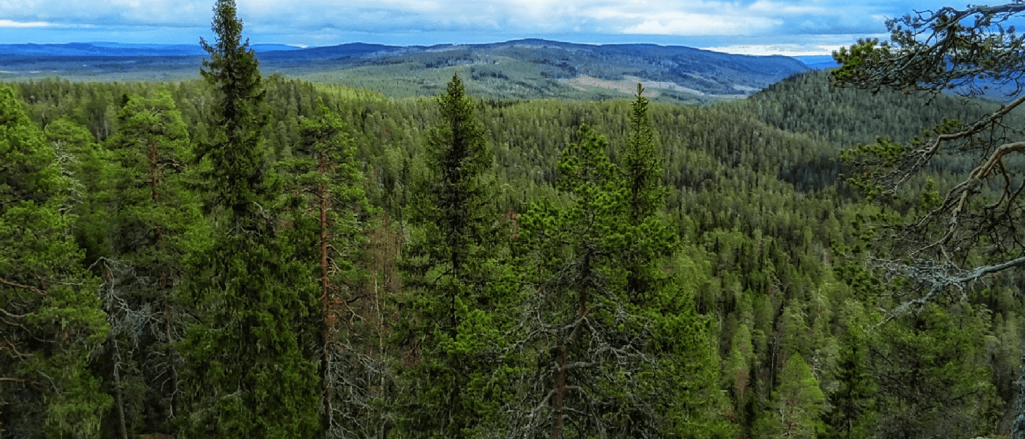 Nationaal-park-bjornlandet-uitzicht