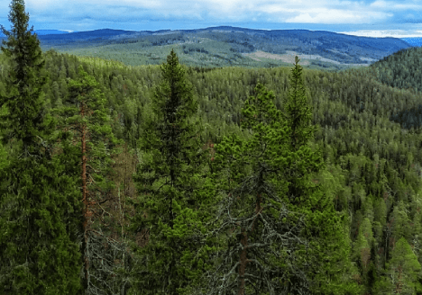 Nationaal-park-bjornlandet-uitzicht