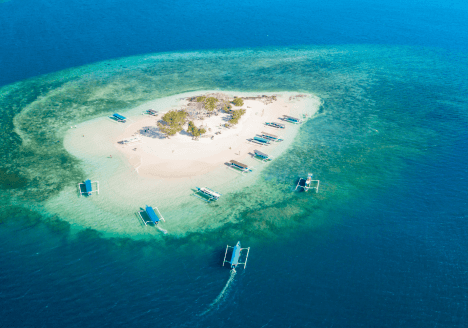 Gili Kedin