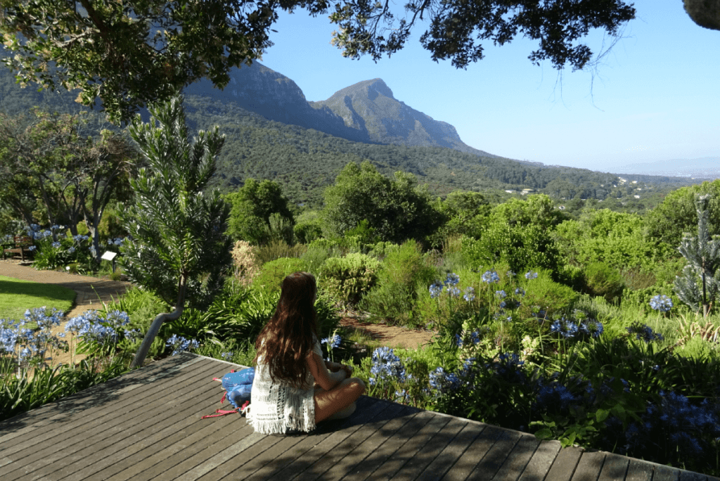 Kirstenbosch doen kaapstad botanische tuine
