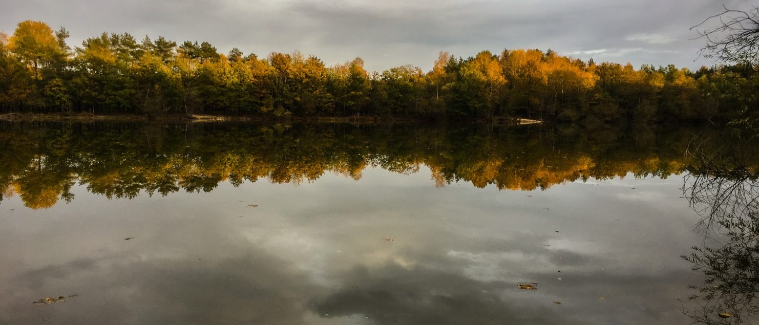 Meer bij Schinveldse Bossen