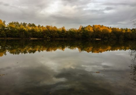 Meer bij Schinveldse Bossen