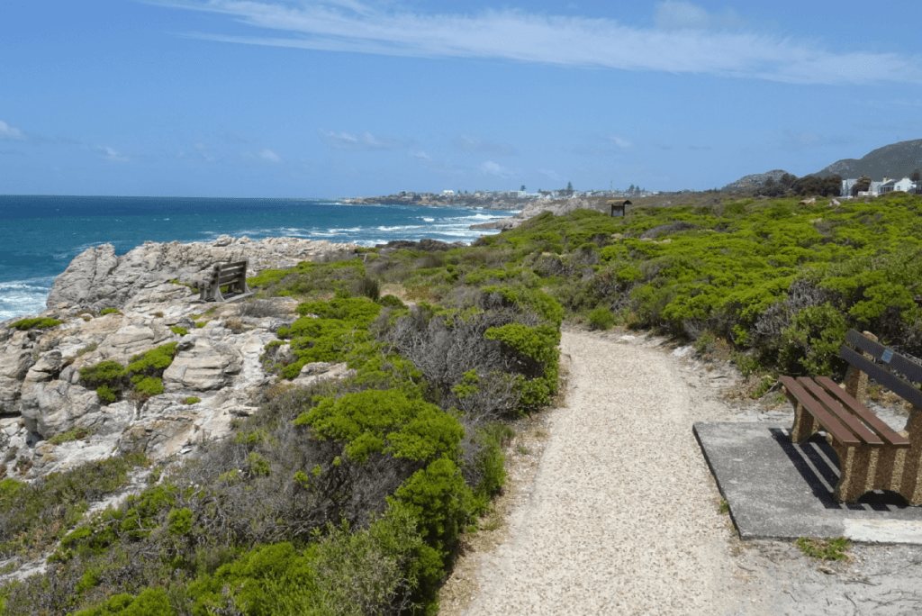 Hermanus Bay Garden Route