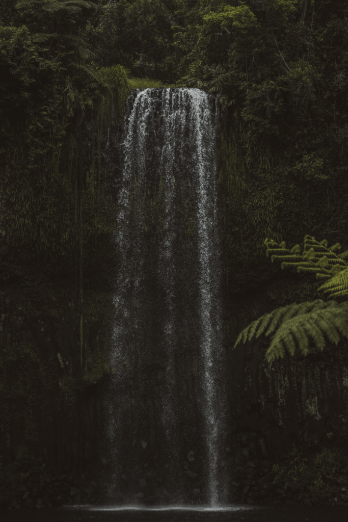 Millaa Millaa watervallen in buurt van Cairns