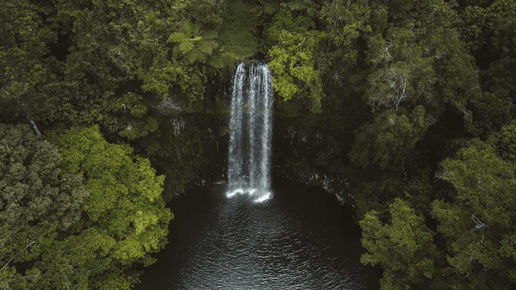 Watervallen in de buurt van Cairns: dit zijn de mooiste! Millaa Millaa Falls