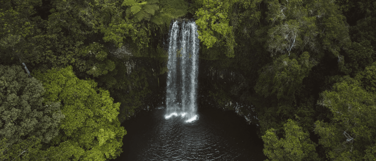 Millaa Millaa Falls