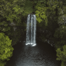 Millaa Millaa Falls