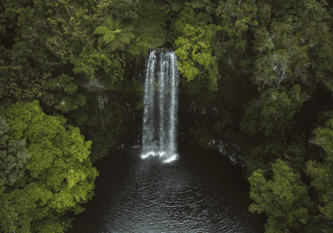 Millaa Millaa Falls