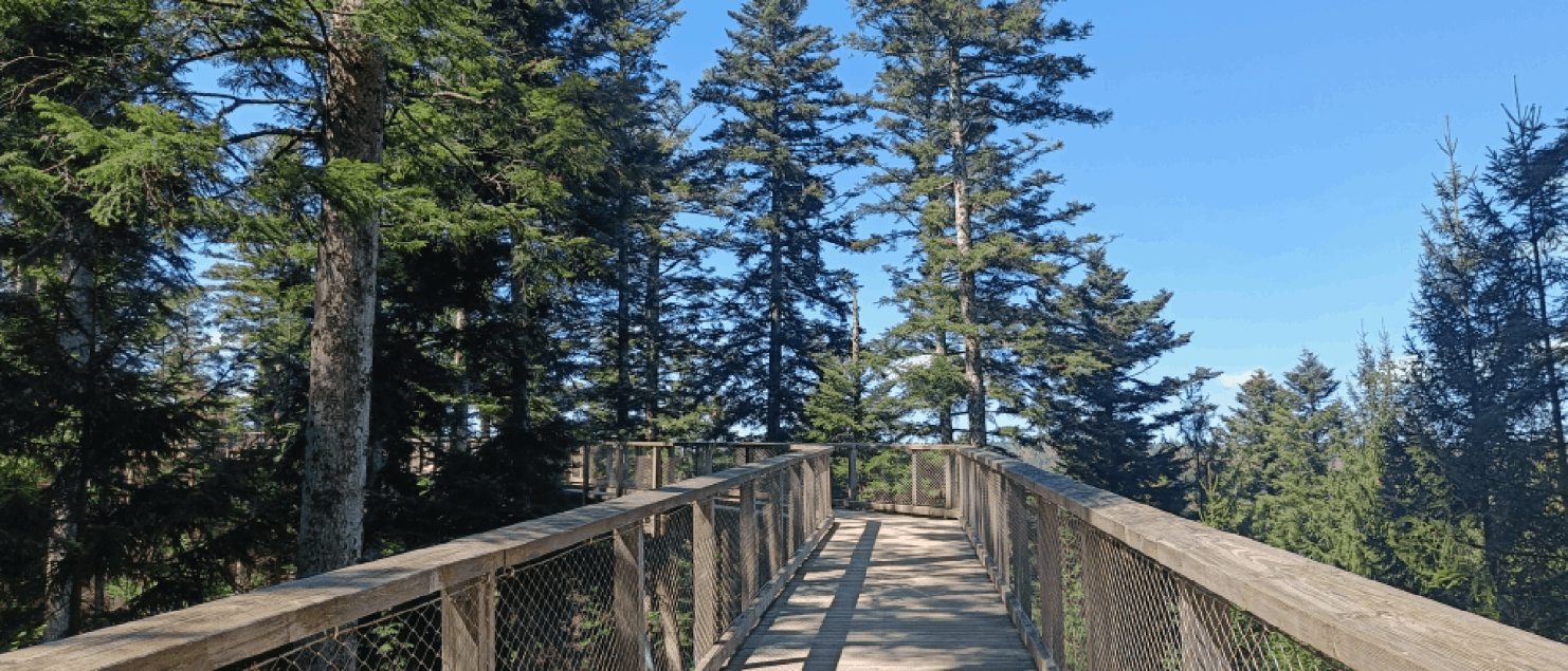 Doen in het zwarte woud- leukste activiteiten