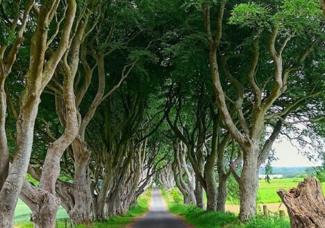 Game of Thrones route kings road