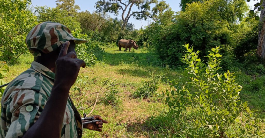 Wandelsafari-met-gids-in-zambia