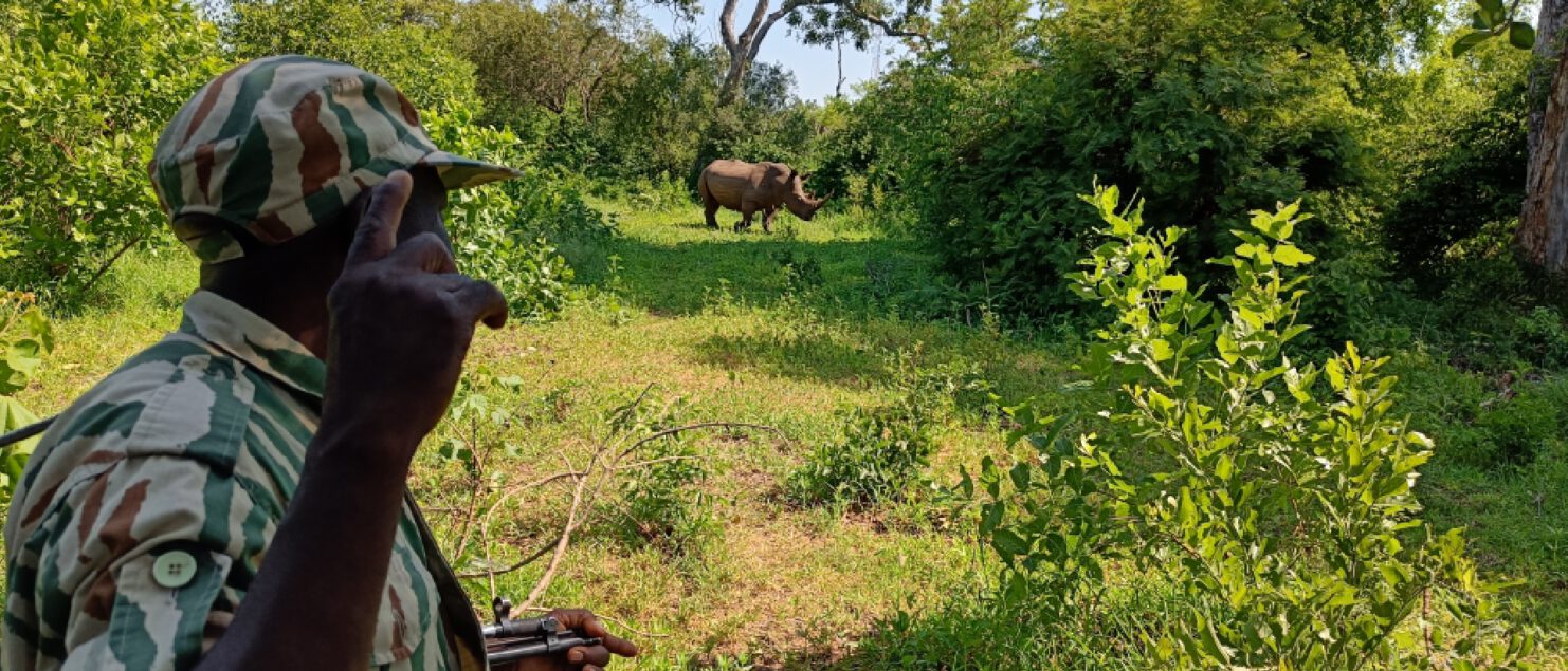 Wandelsafari-met-gids-in-zambia