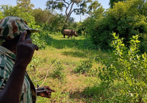 Wandelsafari-met-gids-in-zambia