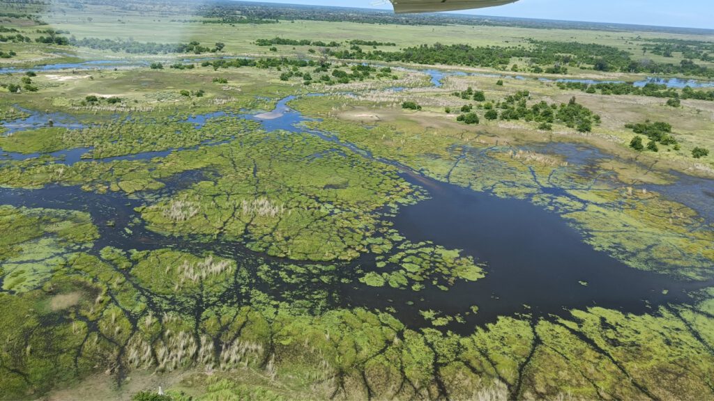 Okavango-delta-Botswana