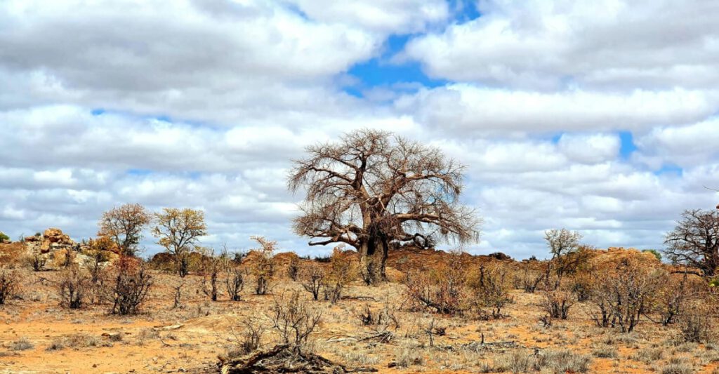 Voorbereiding voor Botswana