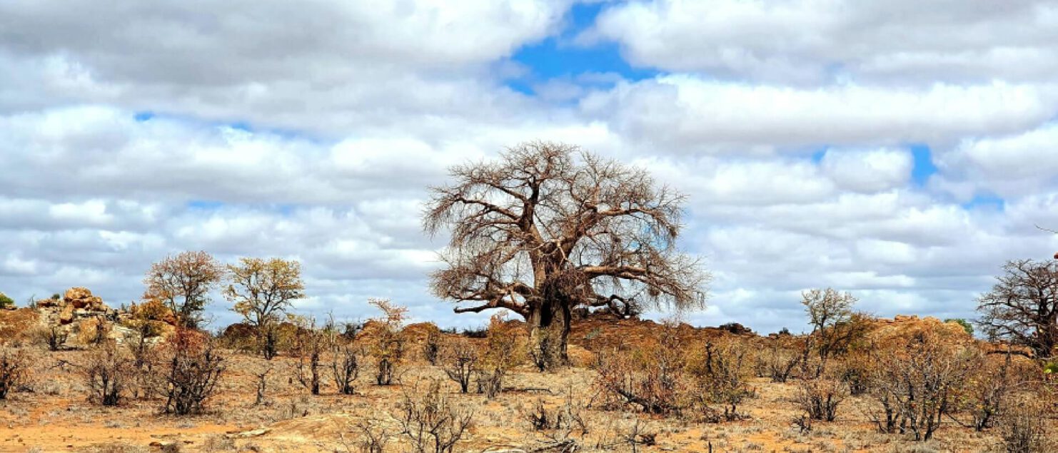 Voorbereiding voor Botswana