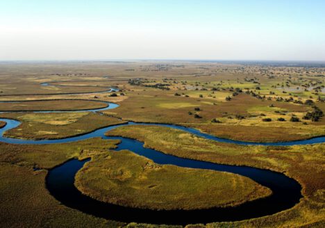Okavango Delta bezoeken