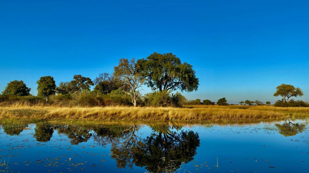 Okavango-Delta-vanaf-water