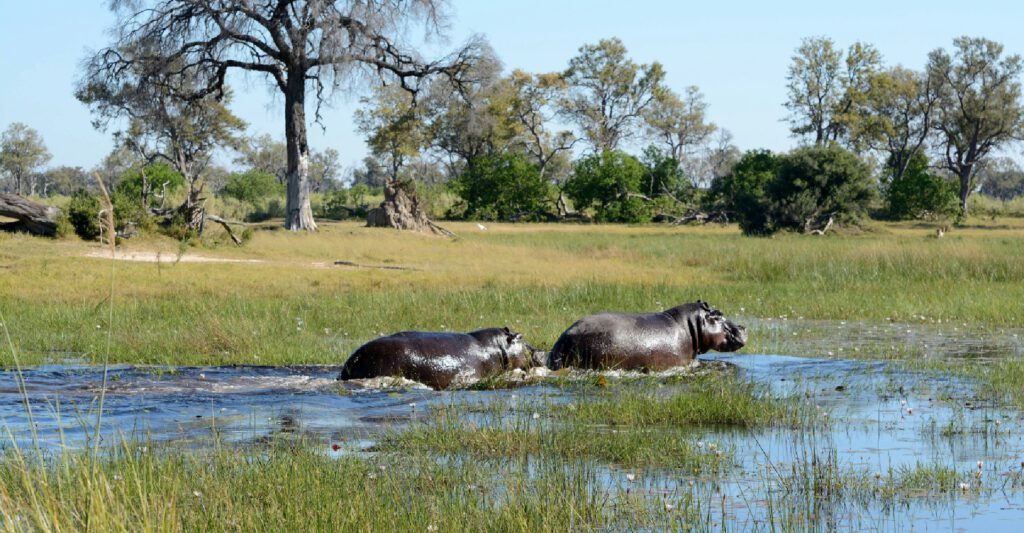 Reisroute_botswana_tips