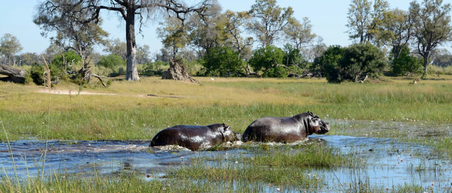 Reisroute_botswana_tips