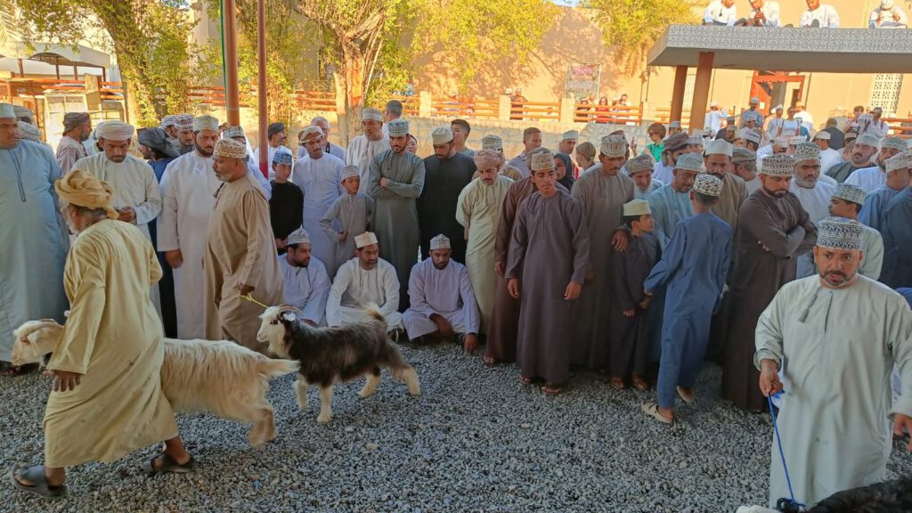 Nizwa geitenmarkt