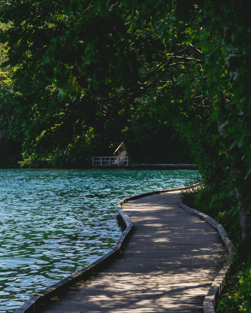 Boardwalk