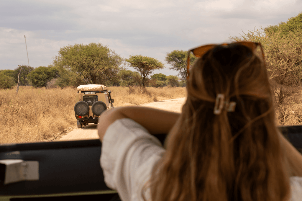 Safari Tanzania