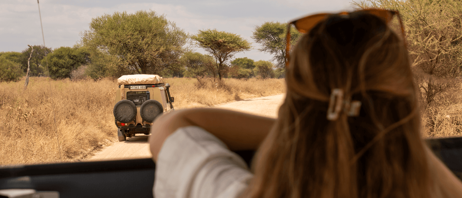 Safari Tanzania
