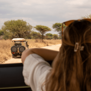 Safari Tanzania