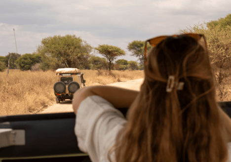 Safari Tanzania