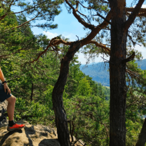 De Malerweg wandelen